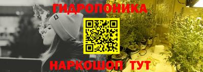гидра Боровичи