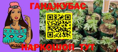 a pvp Брянск