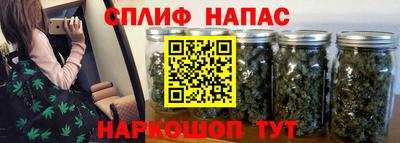 a pvp Брянск