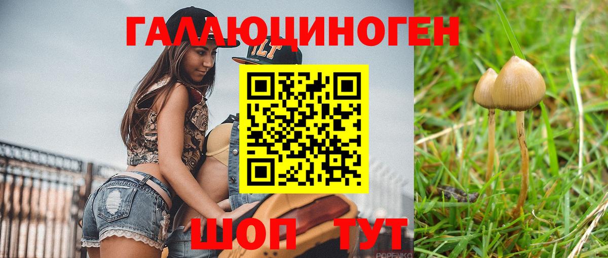 Псилоцибиновые грибы MAGIC MUSHROOMS Вязьма