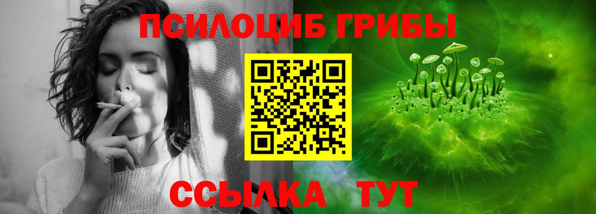 Вязьма  хочу   Вход с VPN  Псилоцибиновые грибы Magic Shrooms 